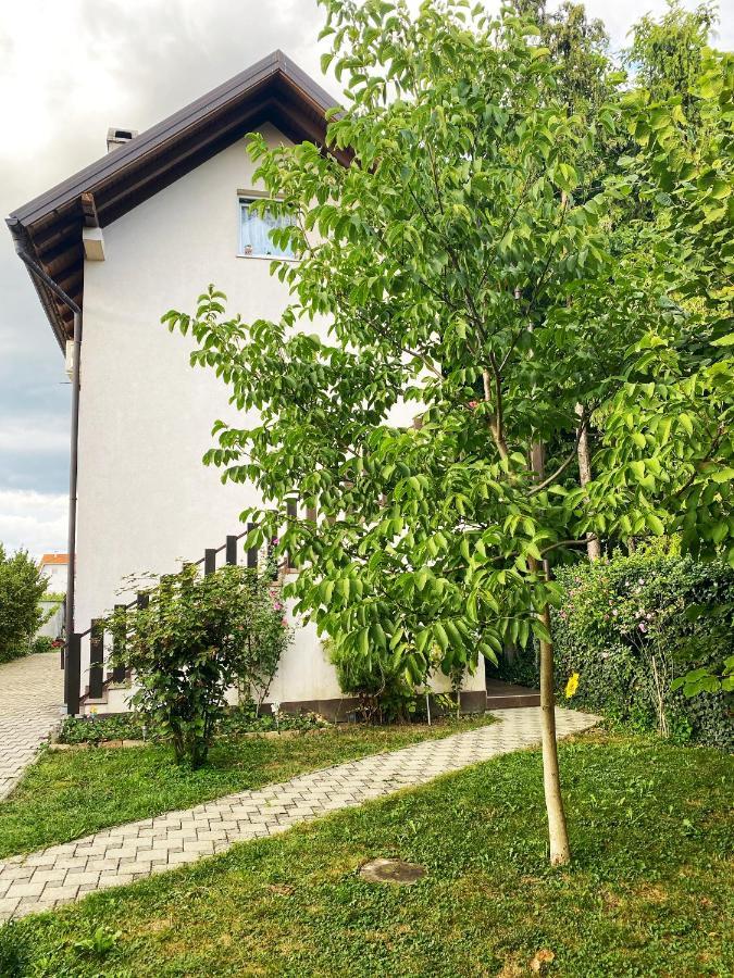 Hotel Guesthouse Stari Jasen Velika Mlaka المظهر الخارجي الصورة